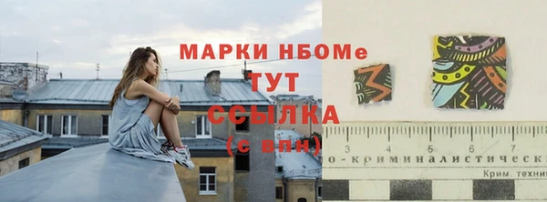 шишки Балахна