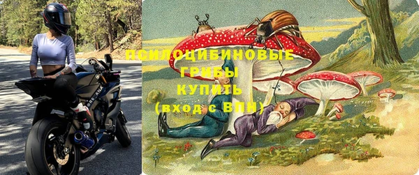 гидропоника Приозерск