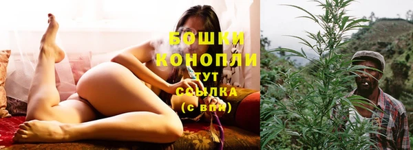 шишки Балахна