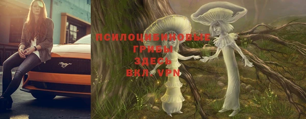 шишки Балахна