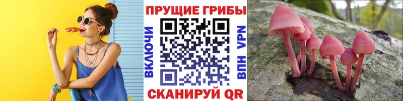 Псилоцибиновые грибы мухоморы  Купить где  Артёмовский 